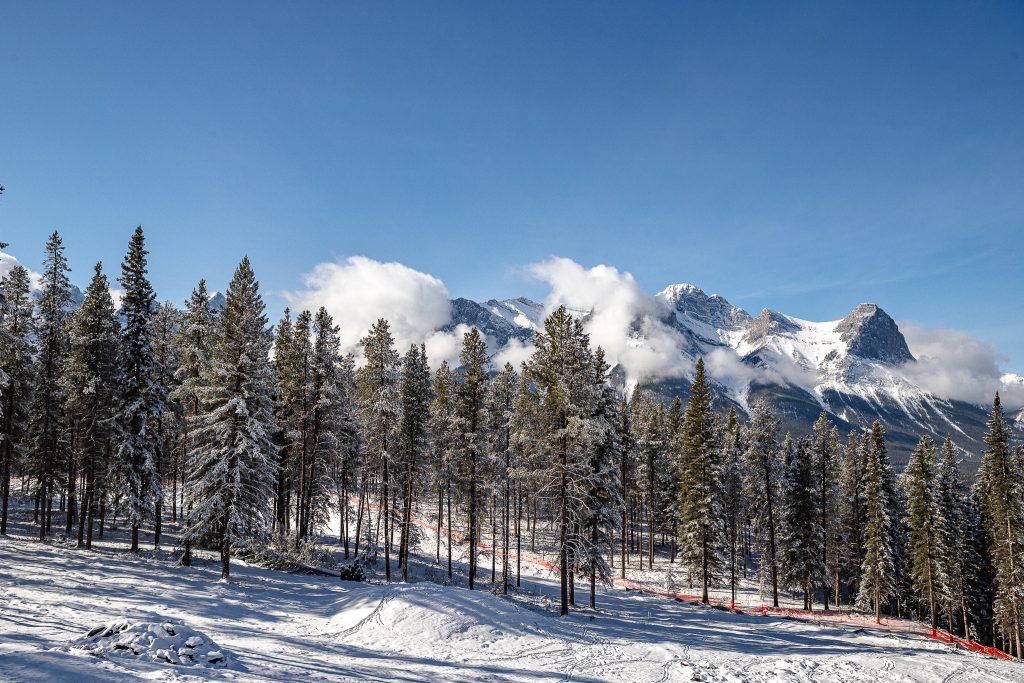 Silvertip Winter